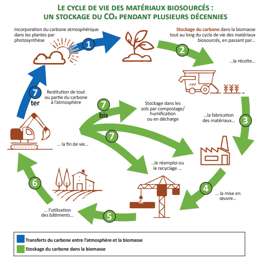 Cycle de vie des matériaux biosourcés