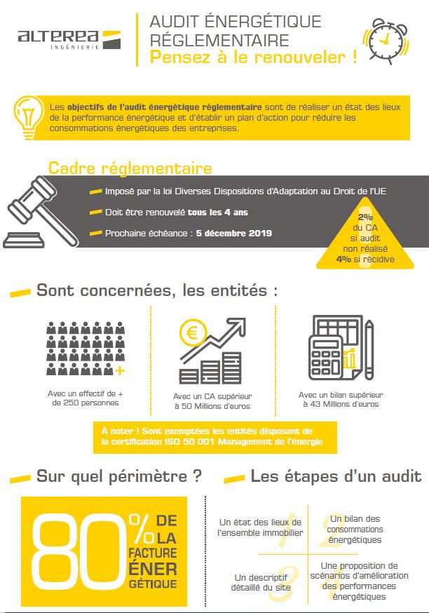 infographie audit